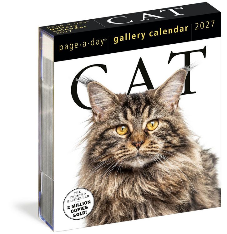 Produktbild: Cat Page-A-Day&reg; Gallery Calendar 2027