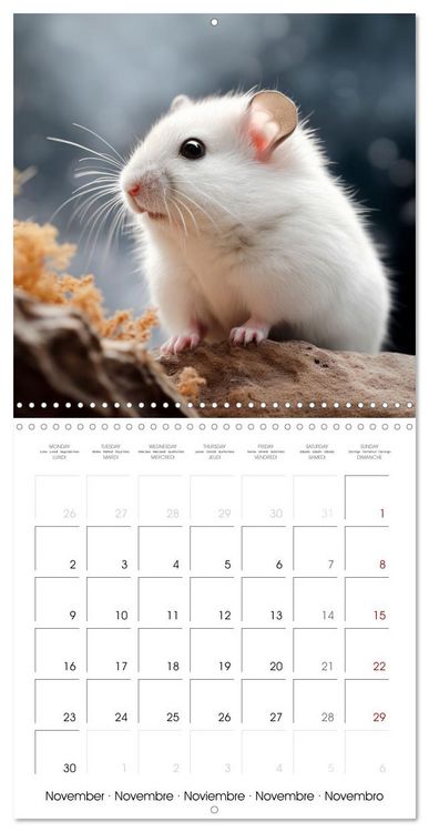 Produktbild: Sweet HAMSTERS (Wall Calendar 2026 12 &times; 12 Inch) CALVENDO 12 Month Wall Calendar