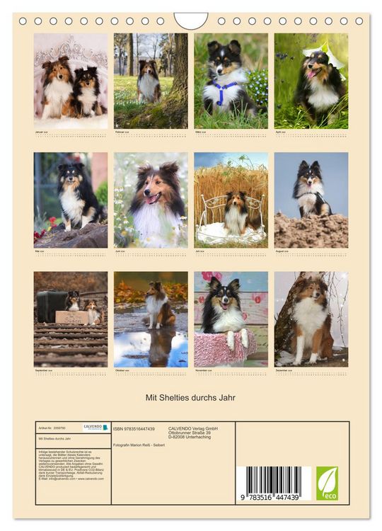 Produktbild: Mit Shelties durchs Jahr (Wandkalender 2026 DIN A4 hoch), CALVENDO Monatskalender