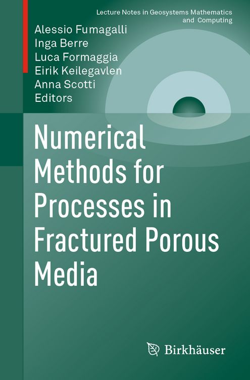 Produktbild: Numerical Methods for Processes in Fractured Porous Media
