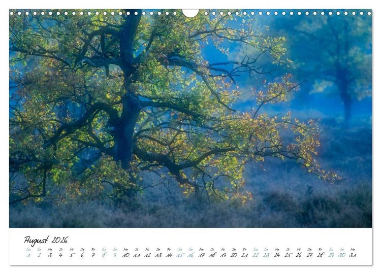 Produktbild: In der Welt der B&auml;ume (Wandkalender 2026 DIN A3 quer), CALVENDO Monatskalender