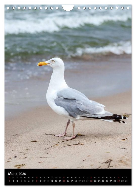 Produktbild: R&uuml;gen Sichtweisen (Wandkalender 2026 DIN A4 hoch), CALVENDO Monatskalender