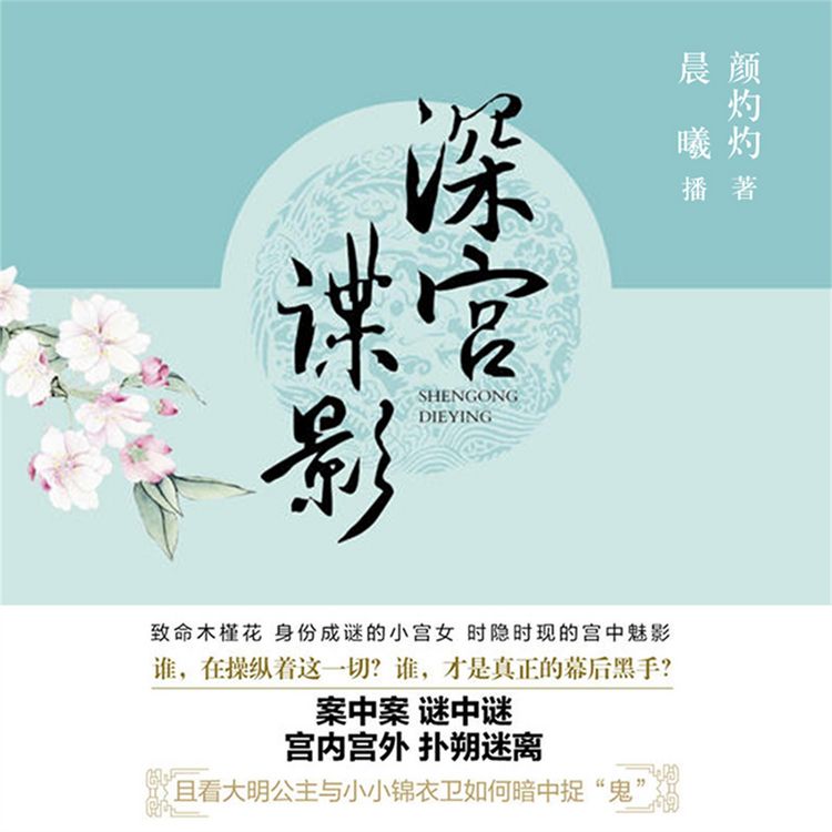 Produktbild: 深宫谍影