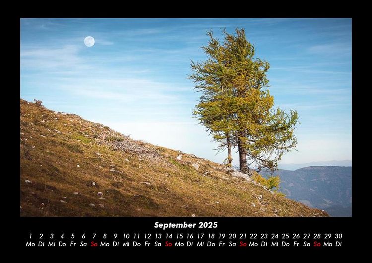 Produktbild: B&auml;ume 2025 Fotokalender DIN A3
