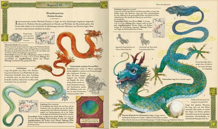 Produktbild: Expedition in die geheime Welt der Drachen