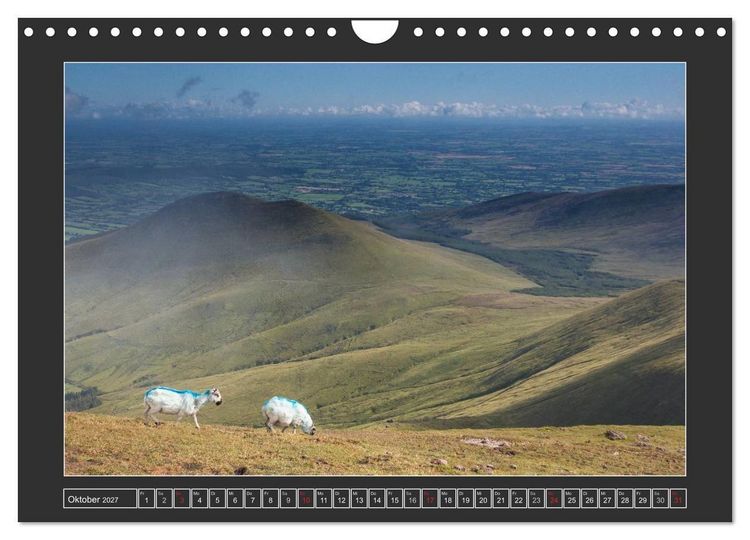 Produktbild: IRLAND - Insel der gl&uuml;cklichen Schafe (Wandkalender 2027 DIN A4 quer), CALVENDO Monatskalender
