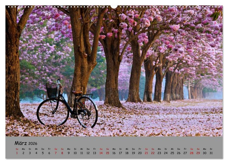 Produktbild: Liebe zum Fahrrad (Wandkalender 2026 DIN A2 quer), CALVENDO Monatskalender