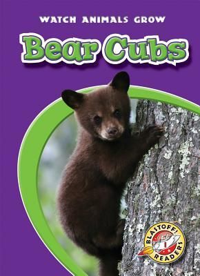 Produktbild: Bear Cubs