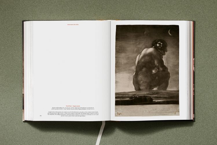 Produktbild: Goya