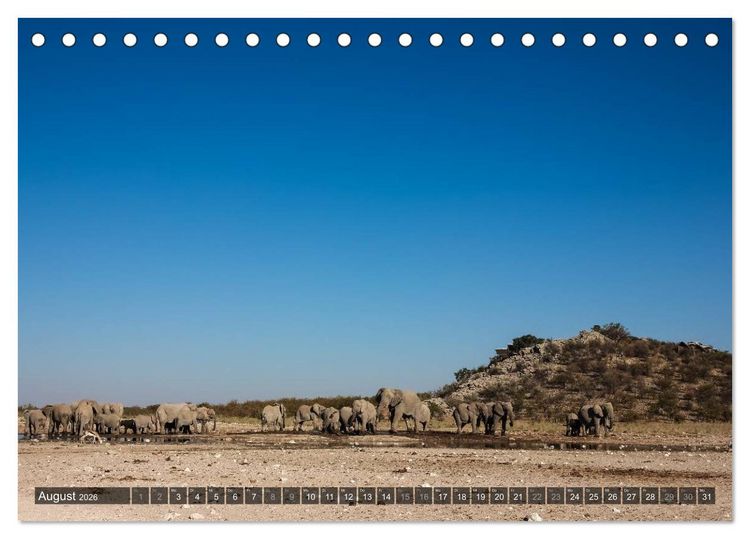 Produktbild: Wildes Namibia (Tischkalender 2026 DIN A5 quer), CALVENDO Monatskalender