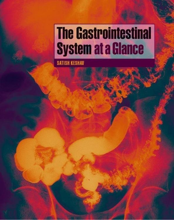 Produktbild: The Gastrointestinal System at a Glance