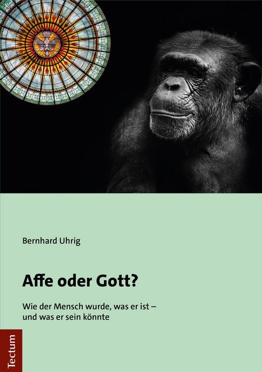 Produktbild: Affe oder Gott?