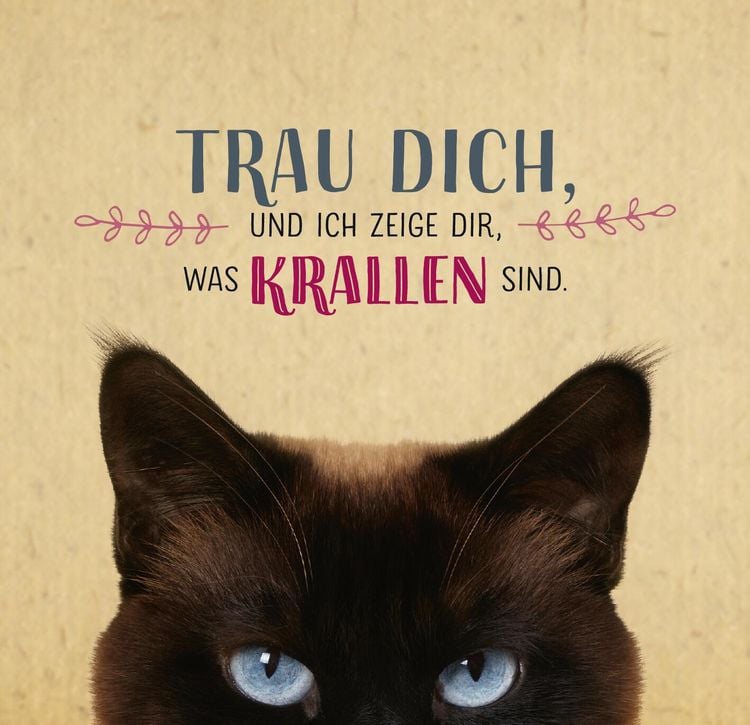 Produktbild: Die ganze Wahrheit &uuml;ber deine Katze