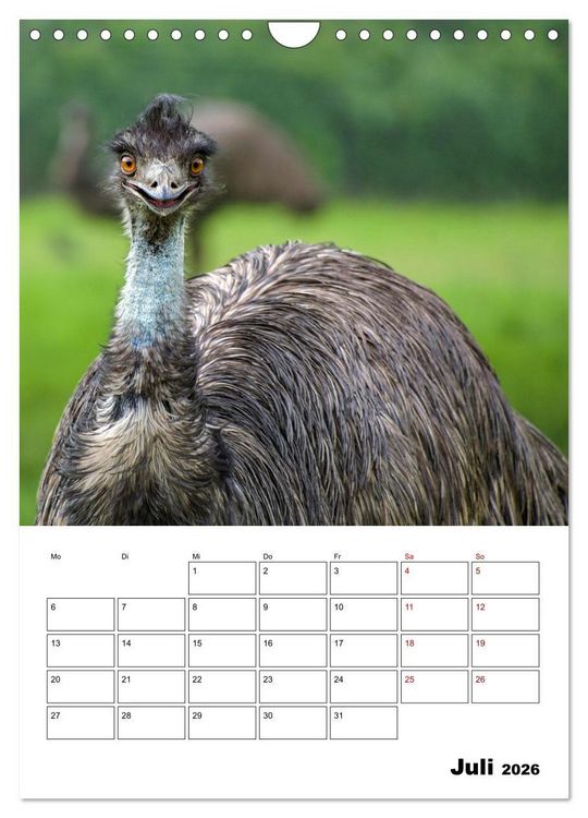 Produktbild: Australiens faszinierende Tierwelt (Wandkalender 2026 DIN A4 hoch), CALVENDO Monatskalender