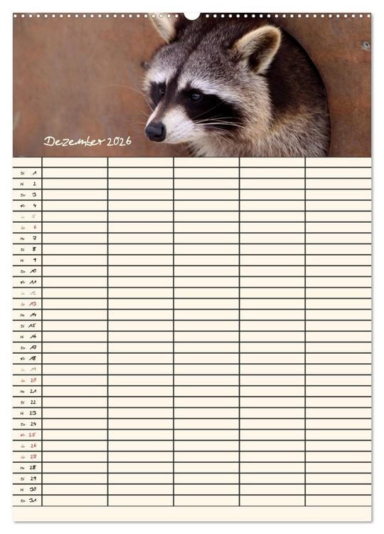 Produktbild: Waschb&auml;ren Familienplaner (hochwertiger Premium Wandkalender 2026 DIN A2 hoch), Kunstdruck in Hochglanz