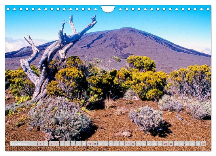 Produktbild: La R&eacute;union, Au centre du volcan (Calendrier mural 2026 DIN A4 vertical), CALVENDO calendrier mensuel