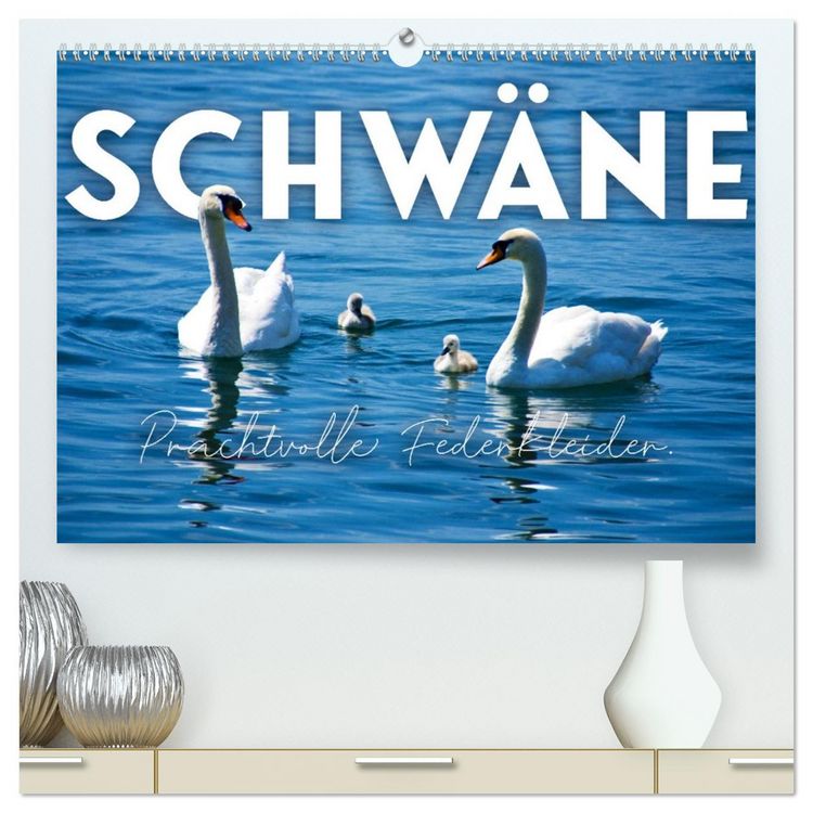 Produktbild: Schw&auml;ne - Prachtvolle Federkleider. (hochwertiger Premium Wandkalender 2026 DIN A2 quer), Kunstdruck in Hochglanz