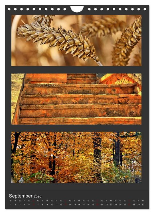 Produktbild: Naturfarben entdecken (Wandkalender 2026 DIN A4 hoch), CALVENDO Monatskalender