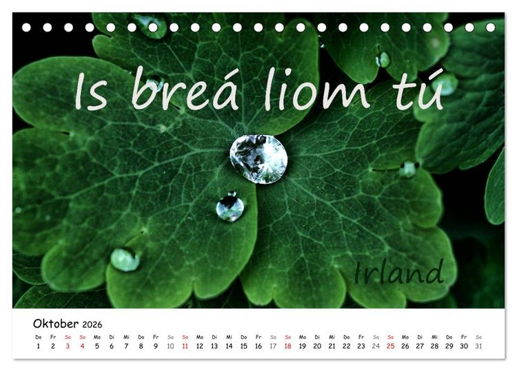 Produktbild: Ich liebe Dich (Tischkalender 2026 DIN A5 quer), CALVENDO Monatskalender