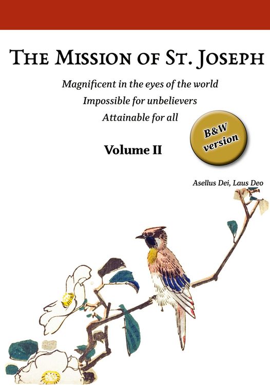Produktbild: The Mission of St. Joseph. Volume II (B&W version)