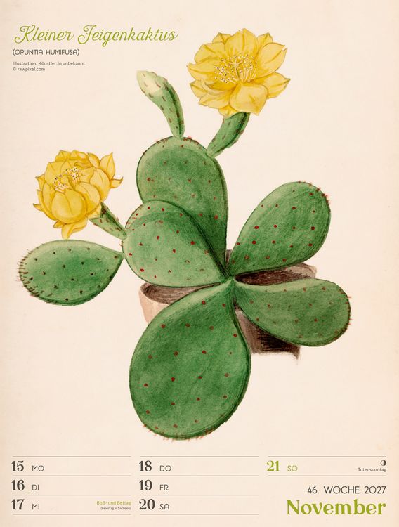 Produktbild: Ars Floralis Wochenplaner Kalender 2027