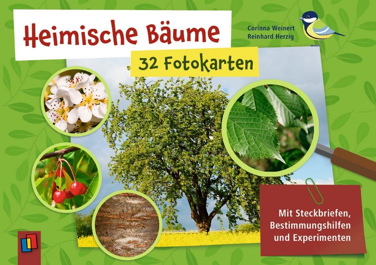 Produktbild: Heimische B&auml;ume &ndash; 32 Fotokarten