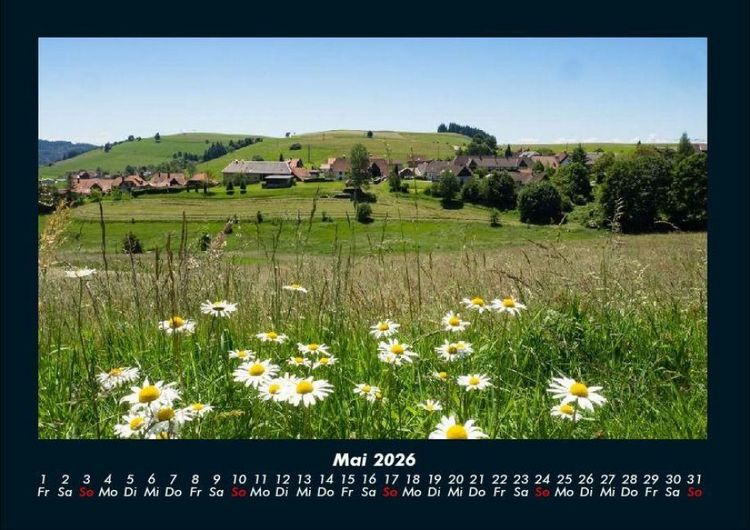Produktbild: Blumenkalender 2026 Fotokalender DIN A4