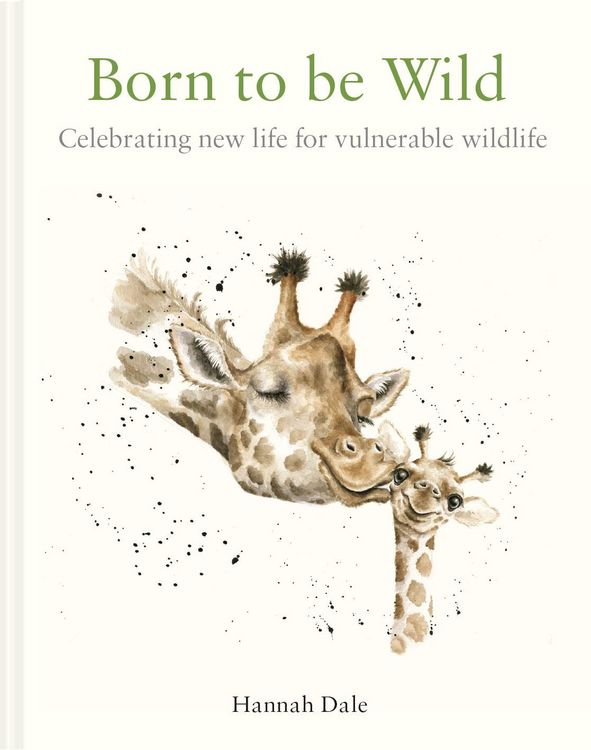 Produktbild: Born to be Wild