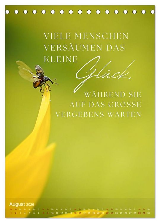 Produktbild: ICH W&Uuml;NSCHE DIR GL&Uuml;CK - 12 Monate mit inspirierenden Gl&uuml;ckszitaten (Tischkalender 2026 DIN A5 hoch), CALVENDO Monatskalender