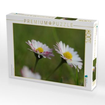 Produktbild: CALVENDO Puzzle kleine G&auml;nsebl&uuml;mchen ganz gro&szlig; | 1000 Teile Lege-Gr&ouml;&szlig;e 64x48cm Foto-Puzzle f&uuml;r gl&uuml;ckliche Stunden
