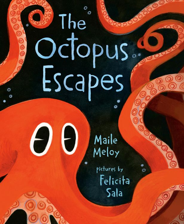 Produktbild: The Octopus Escapes