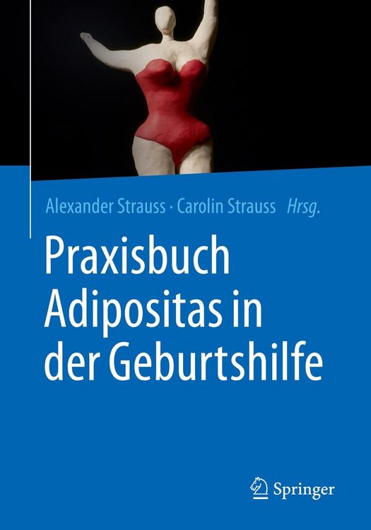 Produktbild: Praxisbuch Adipositas in der Geburtshilfe
