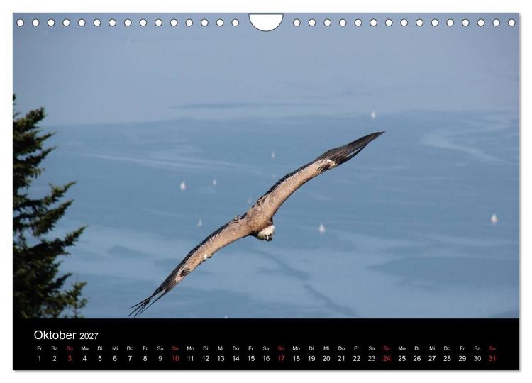Produktbild: Faszination Bodensee (Wandkalender 2027 DIN A4 quer), CALVENDO Monatskalender