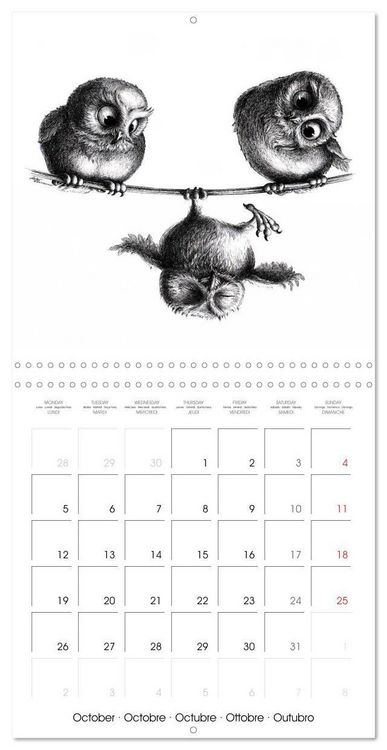 Produktbild: owls and mates 2026 (Wall Calendar 2026 12 &times; 12 Inch) CALVENDO 12 Month Wall Calendar