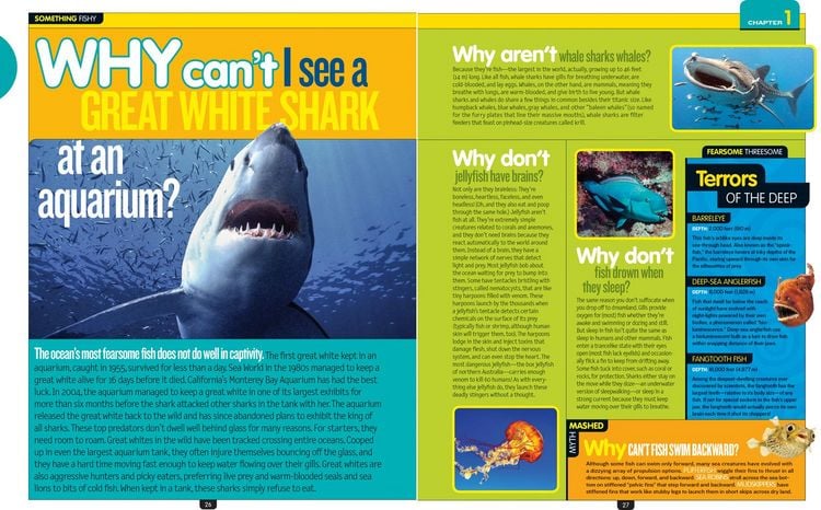 Produktbild: National Geographic Kids Why Not?