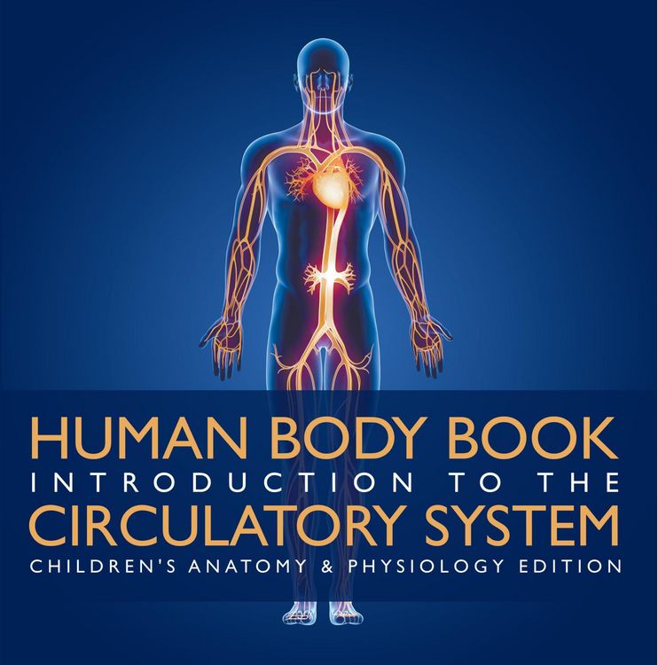 Produktbild: Human Body Book | Introduction to the Circulatory System | Children's Anatomy & Physiology Edition