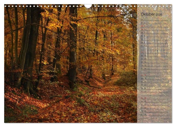 Produktbild: Unser Wald - Magische Sichten in norddeutsche W&auml;lder / Geburtstagskalender (Wandkalender 2026 DIN A3 quer), CALVENDO Monatskalender