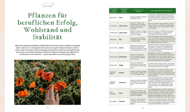 Produktbild: Magie im Hexengarten &ndash; G&auml;rtnern mit gr&uuml;ner Magie