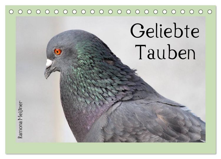 Produktbild: Geliebte Tauben (Tischkalender 2026 DIN A5 quer), CALVENDO Monatskalender