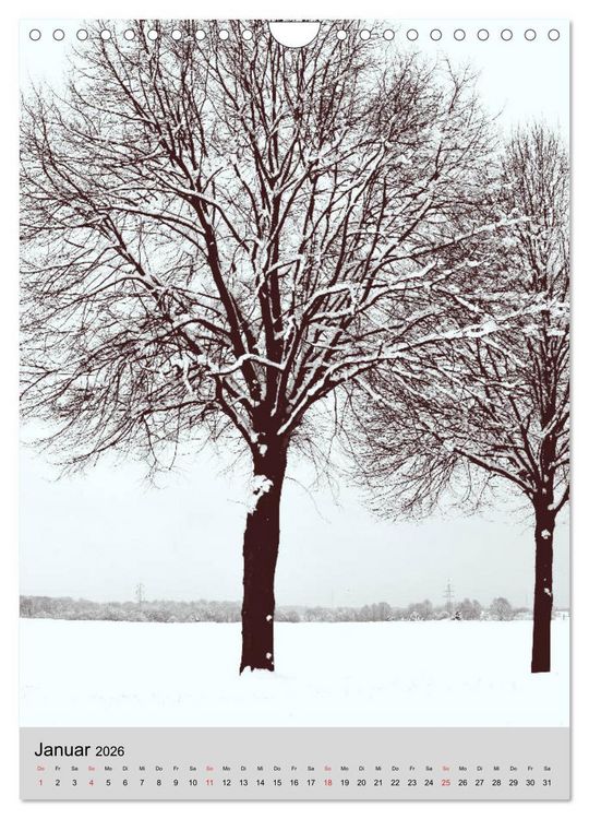 Produktbild: Natur monochrom Die besondere Wirkung (Wandkalender 2026 DIN A4 hoch), CALVENDO Monatskalender