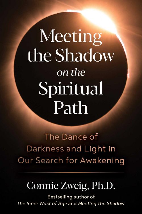 Produktbild: Meeting the Shadow on the Spiritual Path
