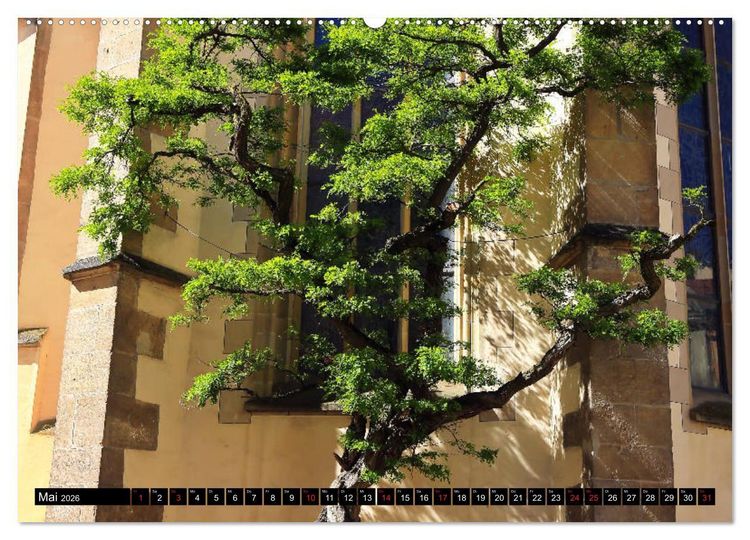 Produktbild: Rottenburg am Neckar - Eine Stadt am Limes (Wandkalender 2026 DIN A2 quer), CALVENDO Monatskalender