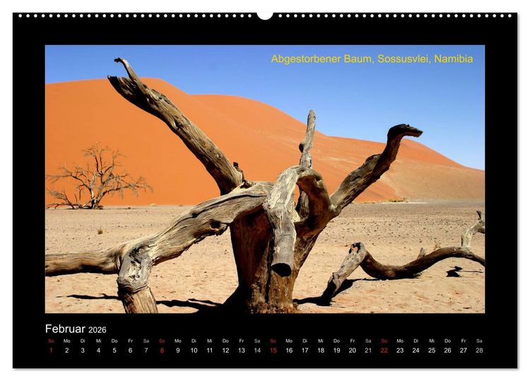 Produktbild: AFRIKA im S&uuml;den (Wandkalender 2026 DIN A2 quer), CALVENDO Monatskalender