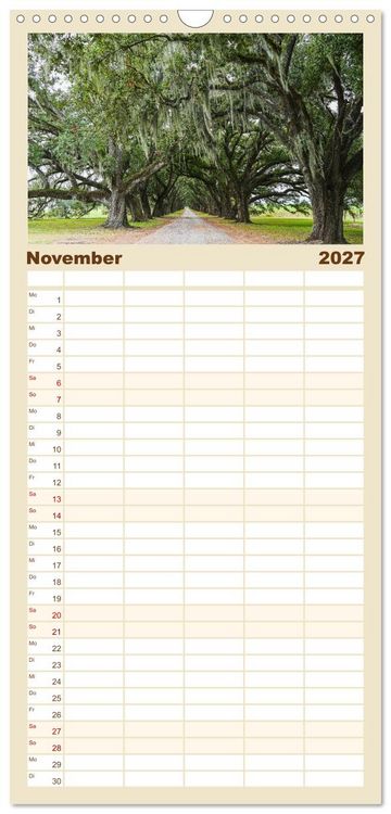 Produktbild: Familienplaner 2027 - Louisiana - S&uuml;mpfe und Plantagenh&auml;user mit 5 Spalten (Wandkalender, 21 x 45 cm) CALVENDO