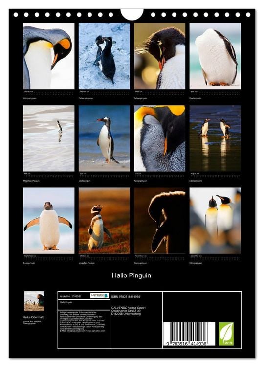 Produktbild: Hallo Pinguin (Wandkalender 2026 DIN A4 hoch), CALVENDO Monatskalender