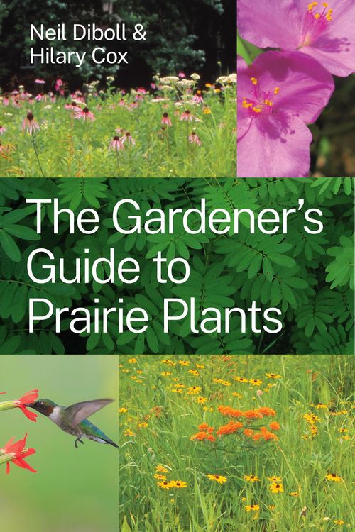 Produktbild: Gardener's Guide to Prairie Plants
