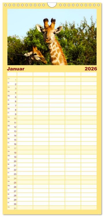 Produktbild: Familienplaner 2026 - Mosambik - Eine Perle im S&uuml;den Afrikas. mit 5 Spalten (Wandkalender, 21 x 45 cm) CALVENDO