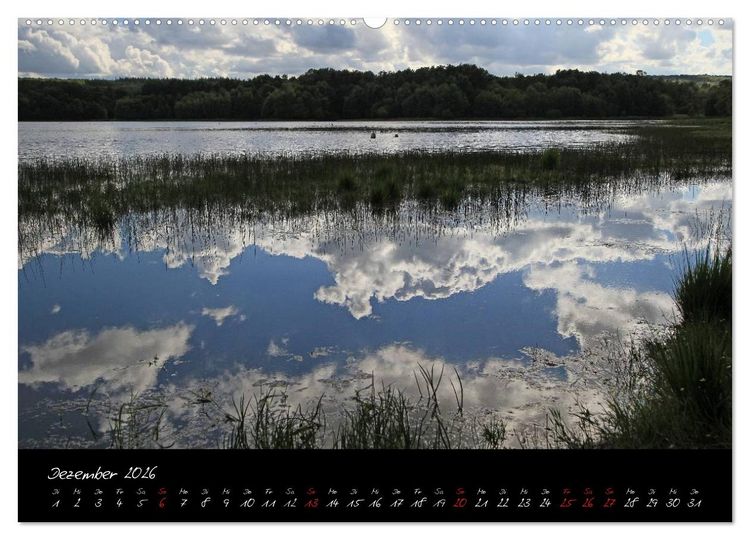 Produktbild: Broc&eacute;liande / Zauberwald der Bretagne (hochwertiger Premium Wandkalender 2026 DIN A2 quer), Kunstdruck in Hochglanz