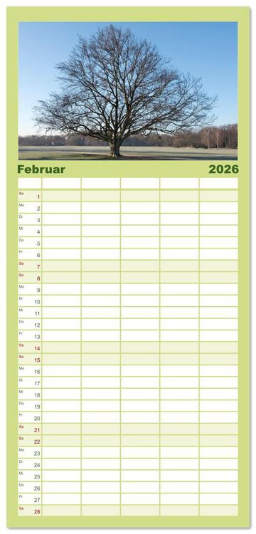 Produktbild: Familienplaner 2026 - Die Buche: 12 Baumportr&auml;ts mit 5 Spalten (Wandkalender, 21 x 45 cm) CALVENDO