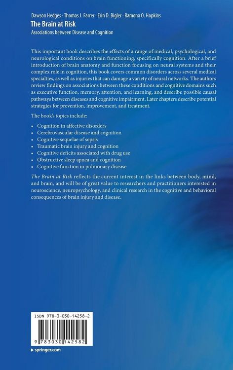 Produktbild: The Brain at Risk